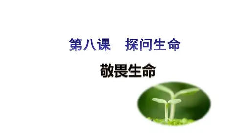 8.2 敬畏生命 课件(26张PPT)-2023-2024学年部编版道德与法治七年级上册