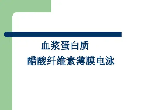 三血清醋酸纤维素薄膜电泳-32页PPT文档资料
