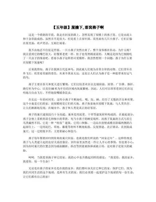 【五年级】屋檐下,那窝燕子啊