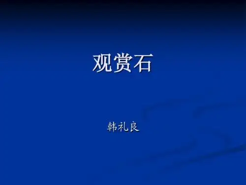 我的收藏--奇石