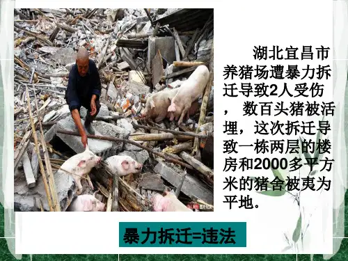 政府的权力：依法行使(最新)概论