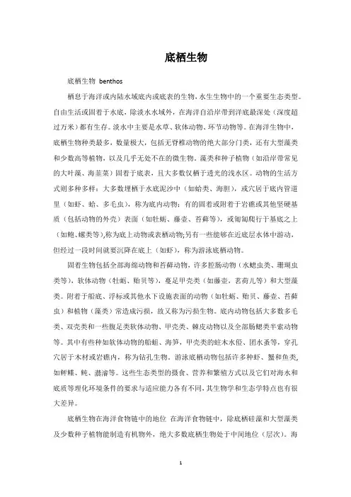 什么是底栖生物