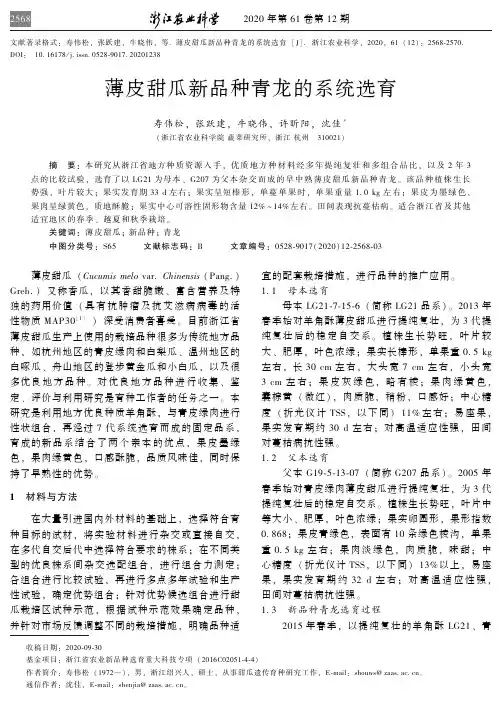 薄皮甜瓜新品种青龙的系统选育
