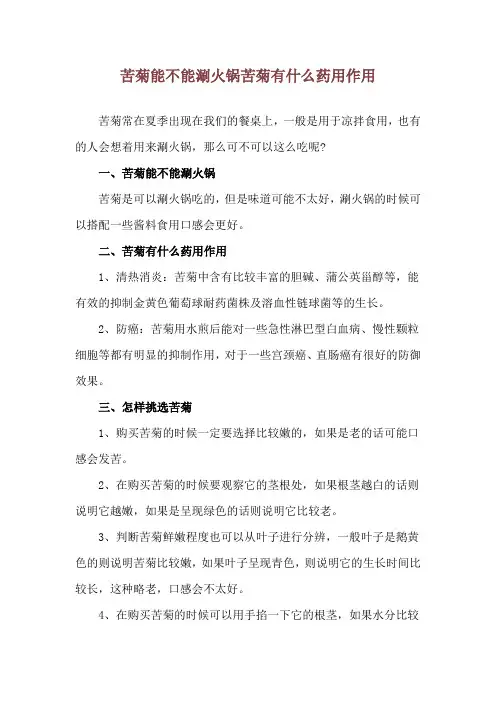 苦菊能不能涮火锅 苦菊有什么药用作用