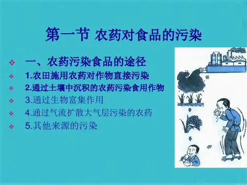 第二章 食品的化学性污染(共34张PPT)