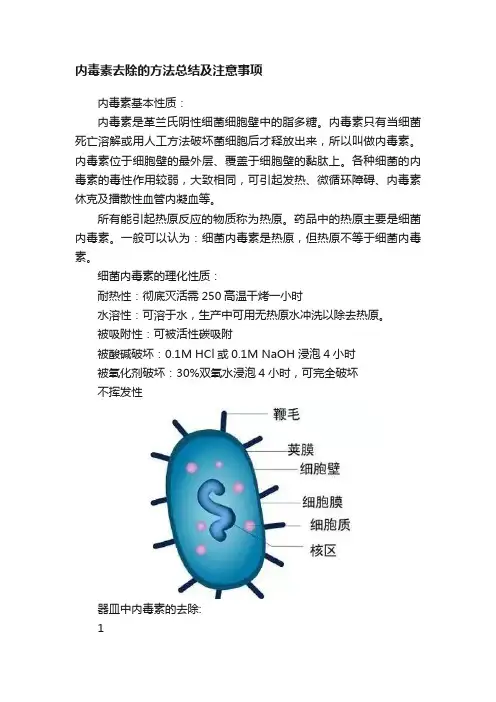 内毒素去除的方法总结及注意事项