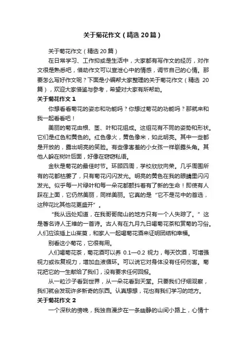 关于菊花作文（精选20篇）