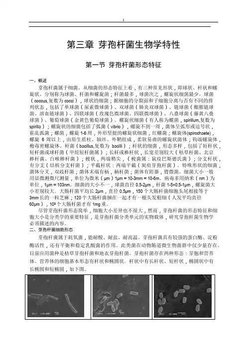 2031_芽孢杆菌生物学特性