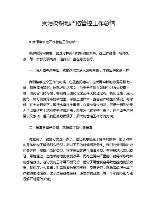 受污染耕地严格管控工作总结