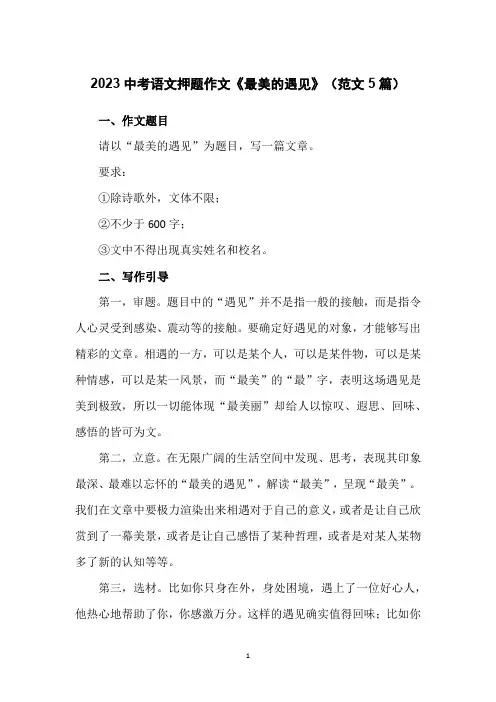 2023中考语文押题作文《最美的遇见》(范文5篇)