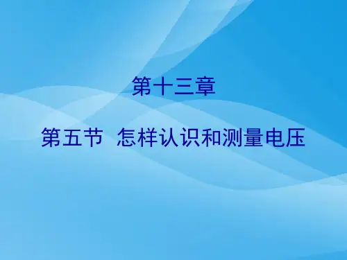 怎样认识和测量电压ppt3 粤教沪科版优质课件优质课件