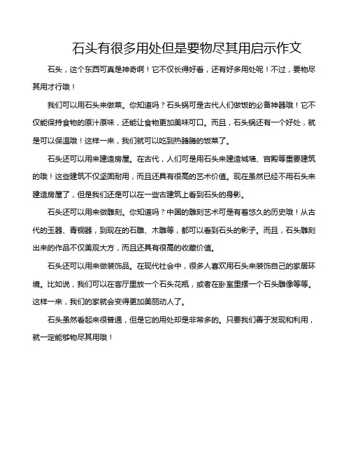 石头有很多用处但是要物尽其用启示作文