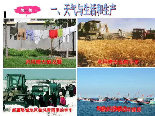 浙教版科学八年级上册   天气预报 课件(34张ppt)