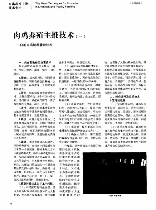 肉鸡养殖主推技术(一)——白羽肉鸡饲养管理技术