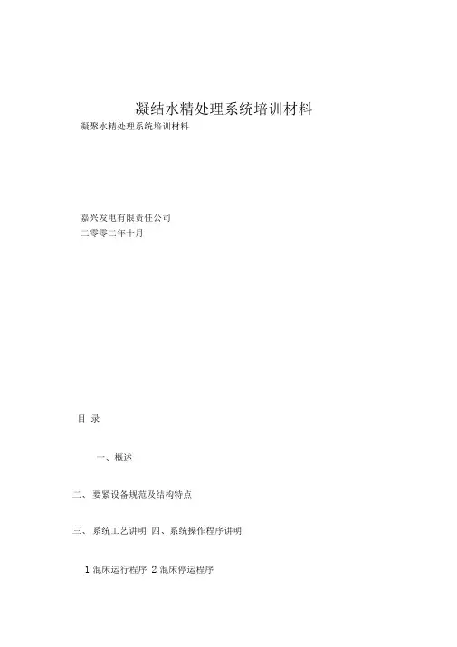 凝结水精处理系统培训材料