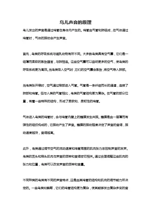 鸟儿声音的原理