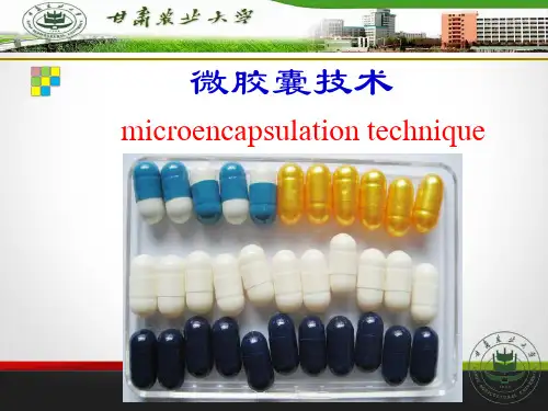 微胶囊技术