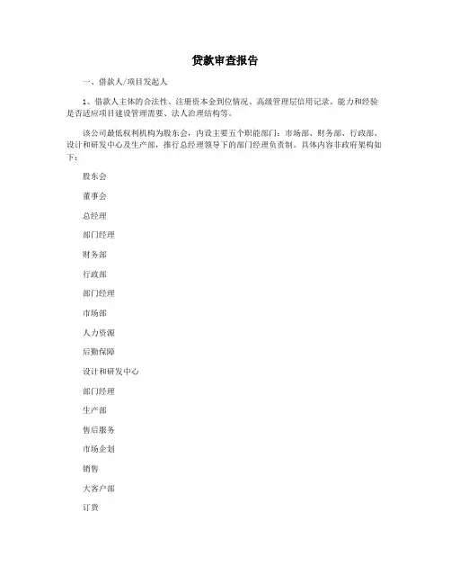 贷款审查报告