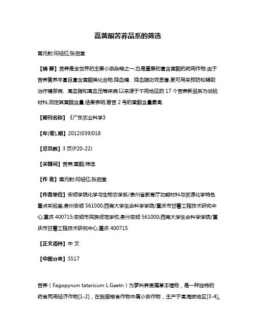 高黄酮苦荞品系的筛选