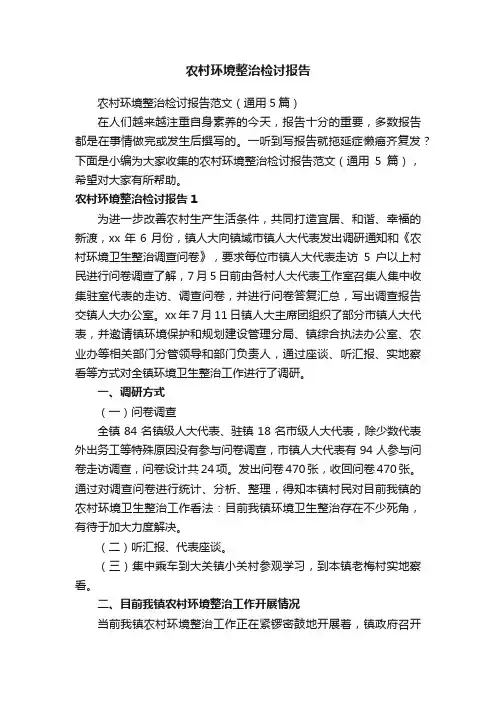 农村环境整治检讨报告范文（通用5篇）