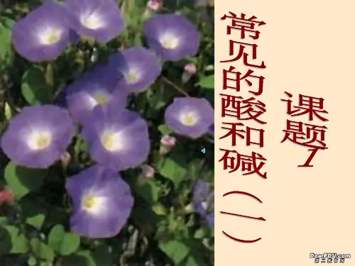 常见的酸和碱