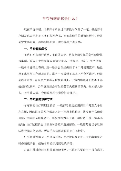 羊布病的症状是什么？
