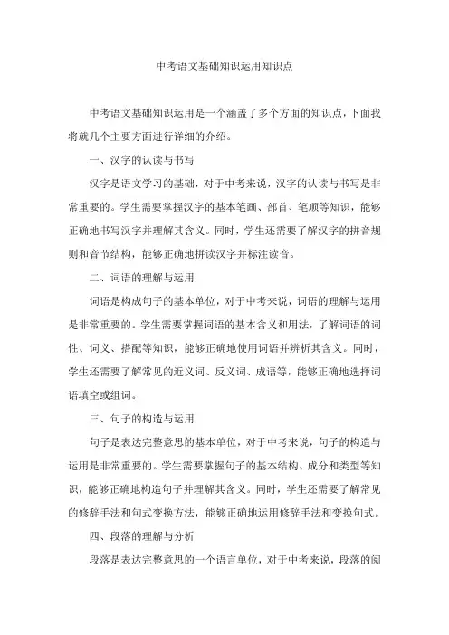 中考语文基础知识运用知识点