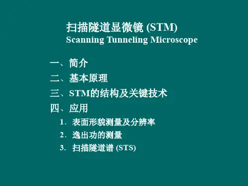 扫描隧道显微镜STM.ppt
