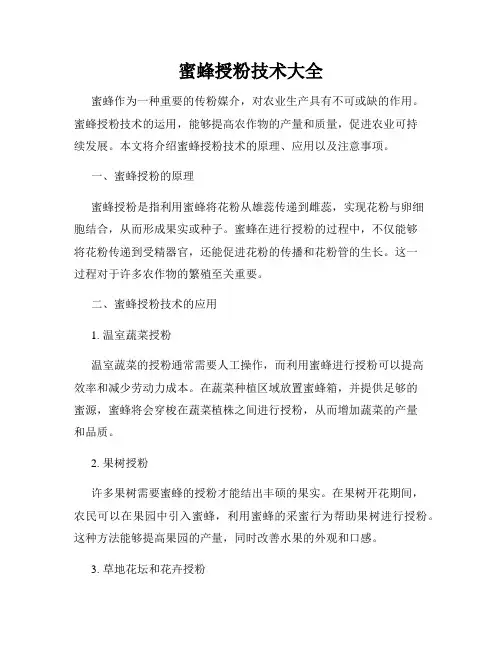 蜜蜂授粉技术大全