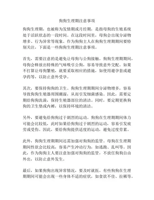 狗狗生理期注意事项