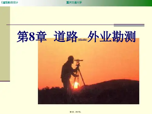 8-第八章-道路外业勘测(共47张)