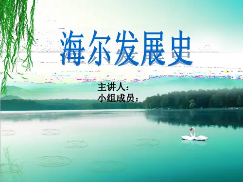 海尔发展史