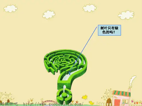 四上 树叶都是绿色的吗 ppt(s版语文)课件1