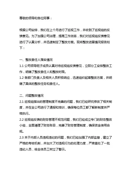 巡视组反馈意见整改进展情况报告