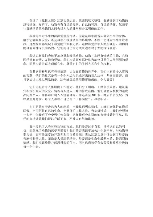 舐犊之情读后感800字