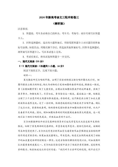 2024年新高考语文三轮冲刺卷三(解析版)