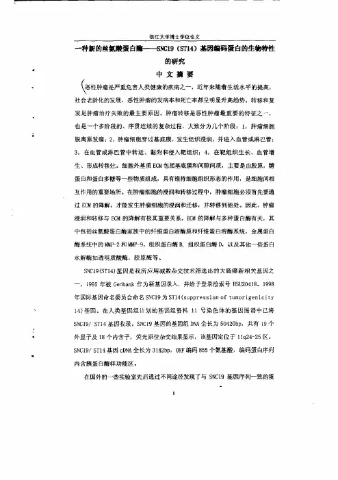 一种新丝氨酸蛋白酶-snc19（st14）基因编码蛋白生物特性的的研究