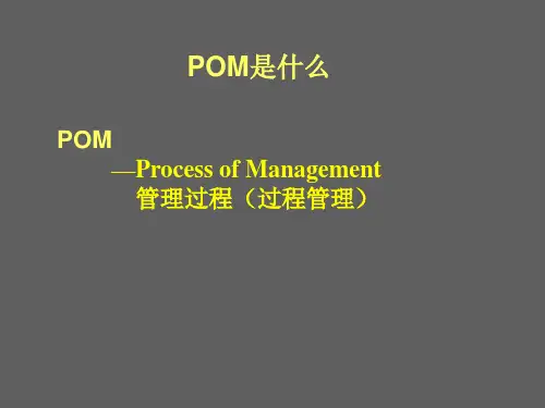 过程管理的流程和知识点