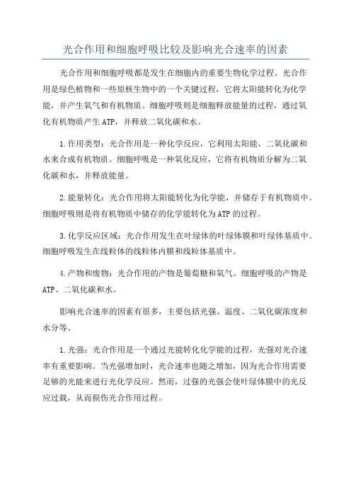 光合作用和细胞呼吸比较及影响光合速率的因素