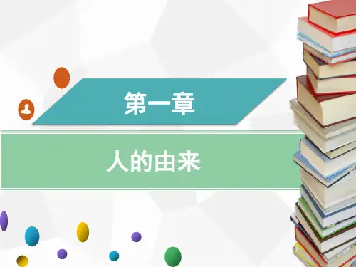 人教版版七年级下册生物 第一章  第三节  青春期课件