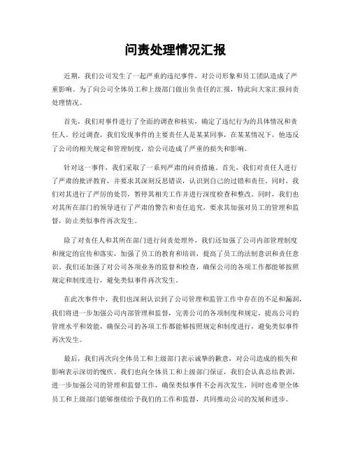 问责处理情况汇报