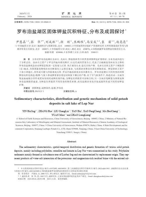 罗布泊盐湖区固体钾盐沉积特征、分布及成因探讨