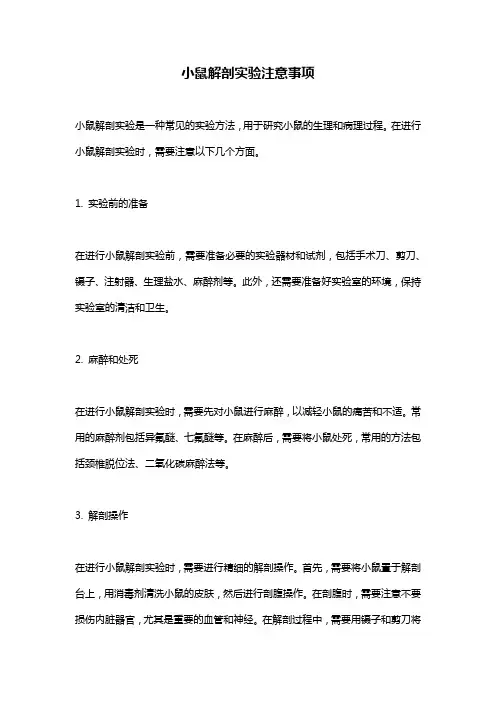 小鼠解剖实验注意事项