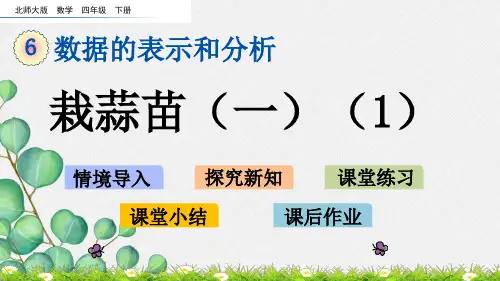 2022年北师大版小学数学《栽蒜苗》课件精品