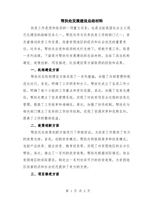 帮扶处发展建设总结材料