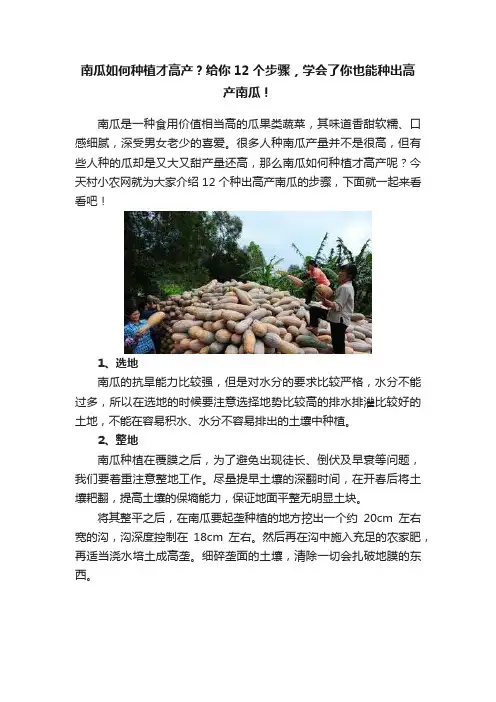 南瓜如何种植才高产？给你12个步骤，学会了你也能种出高产南瓜！