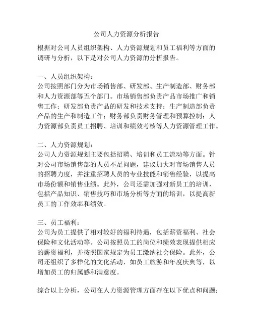 公司人力资源分析报告