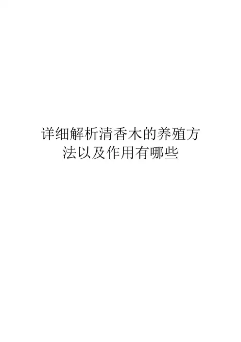 详细解析清香木的养殖方法以及作用有哪些