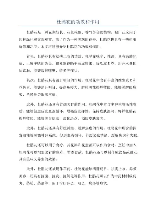 杜鹃花的功效和作用