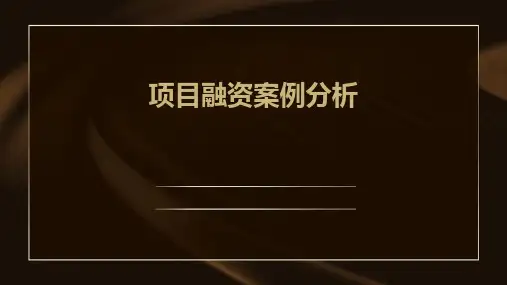 《项目融资案例分析》课件